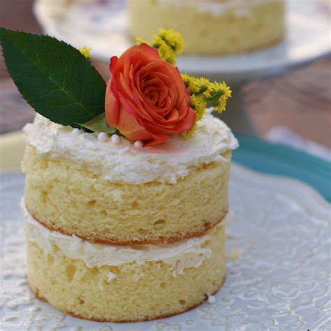 Easy Naked Mini Cakes Southern Discourse