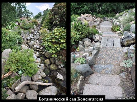 09.30. Danilova - презентация онлайн