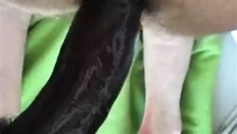 French Fag Fucked Gay Amateur Amateur Porn Xhamster