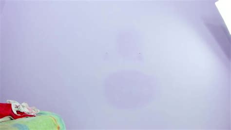 S3xy Curv1 BBW Mega Ass