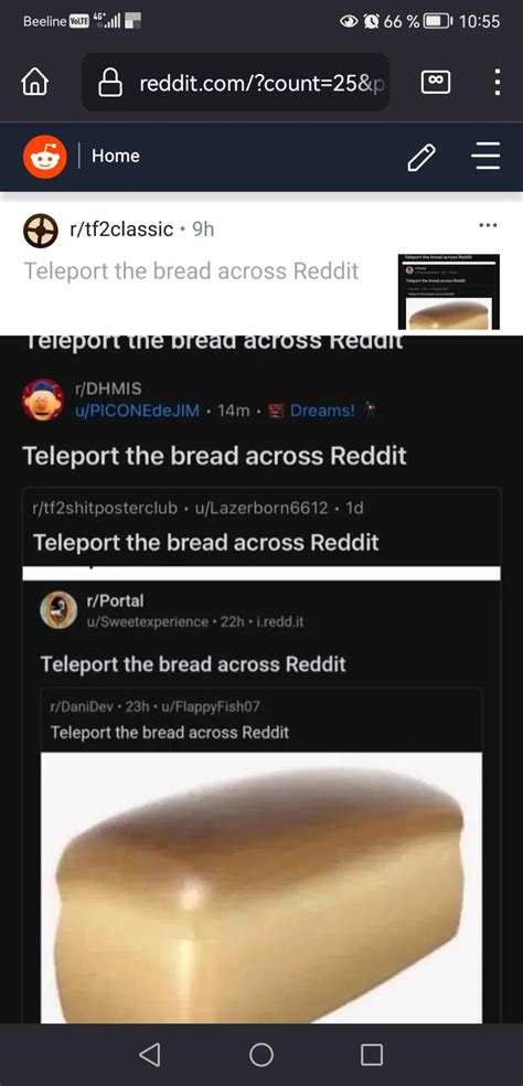 Teleport This Bread Across Reddit Rtf2