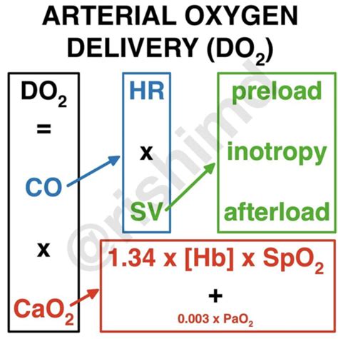 Respiratory Transport Of Oxygen And Carbon Dioxide By The Blood