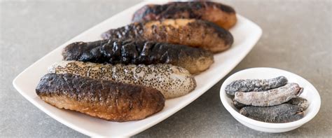 How To Store Dried Sea Cucumbers For Maximum Freshness