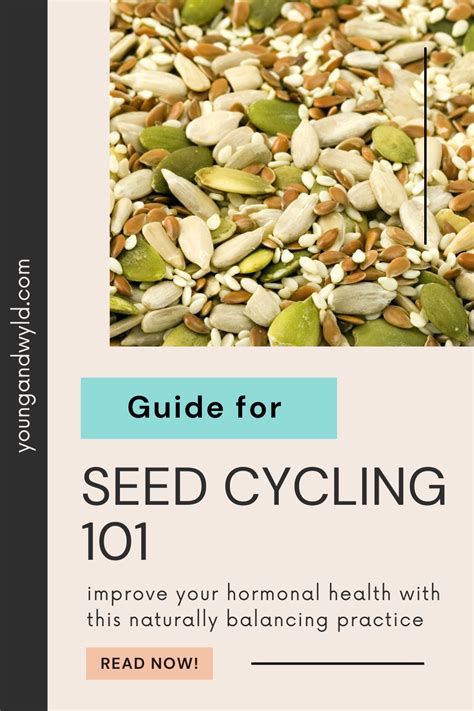 Looking To Balance Your Hormones Naturally Seed Cycling Could Be For