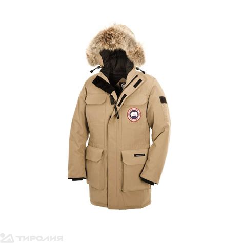 Куртка пуховая: Canada Goose Citadel купить по выгодной цене в интернет ...
