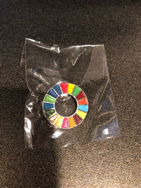 United Nations Sustainable Development Goals Un Ssg Tumbler And Pin