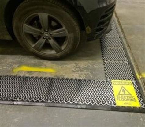 electric cars rat damage btp professional bird pest control