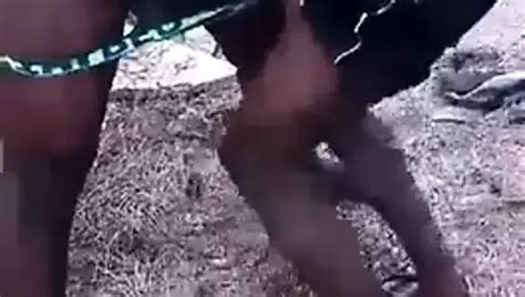 Tamil Gay Sucking Deeply Xhamster