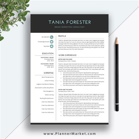 resume templates mac  professional templates professional templates