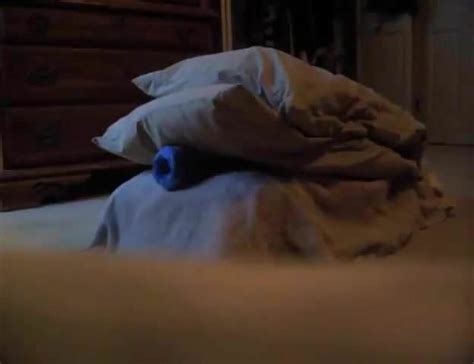 Homemade Sex Toy Pillow Humping Orgasm Free Gay Porn C XHamster