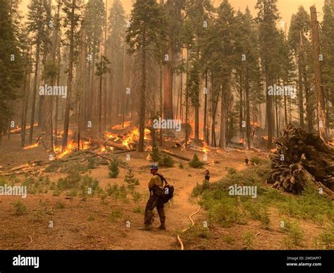 2021 Knp Complex Fire Burnout Operation Stock Photo Alamy