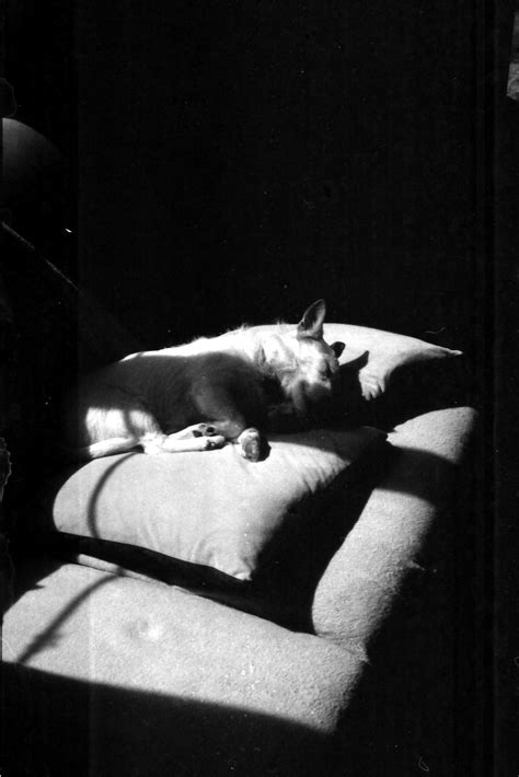 Why my mechanical film camera is still more convenient…