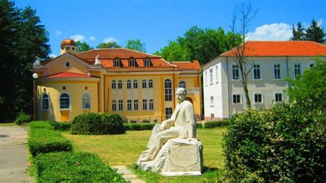 Новият Вършец