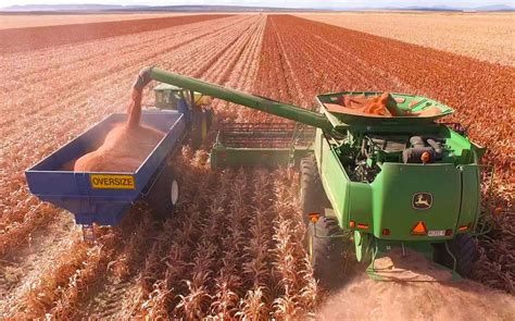 Pioneer Offers More Than A Bag Of Seed Australasian Farmers