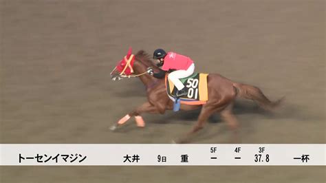 【ハイセイコー記念2018】調教追い切り動画【tck】 競馬まとめサイト ウマちゃんねる