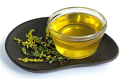 Донник как медонос: продуктивность, агротехника