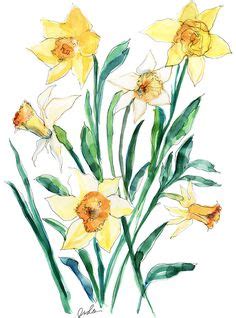 Daffodil Line Drawing | Free download on ClipArtMag