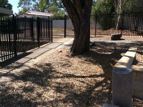 200 Plants For Jungle Courtyard At Madison Park School