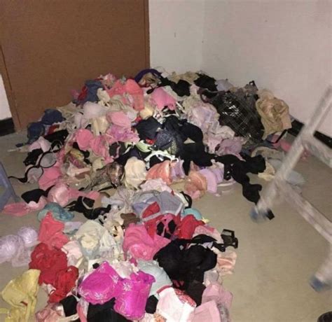 Lingerie Thief Gets Busted 6 Pics