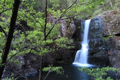 awildland: Gloucester Falls - Barrington Tops National Park