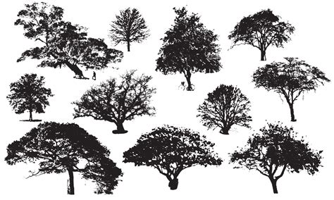 Black And White Tree Vector Art, Icons, and Graphics for Free Download