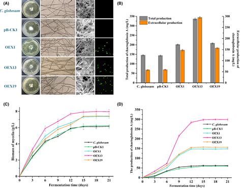 Phenotypic Characteristics Cell Growth And Chaetoglobosin A Production