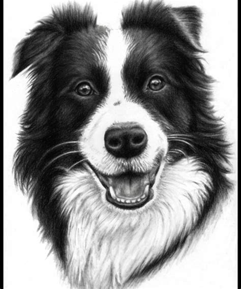 Border Collie Smile Cap 80s Painting By Ben Daniel Pixels