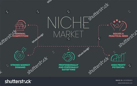 niche market strategy infographic  template