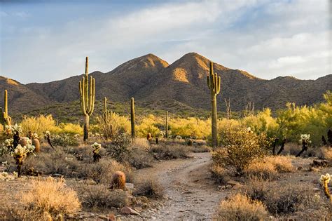 8 Amazing Trails to Tackle when Hiking in Scottsdale