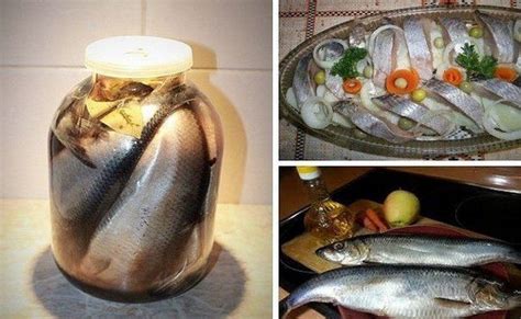 Селедка в банке