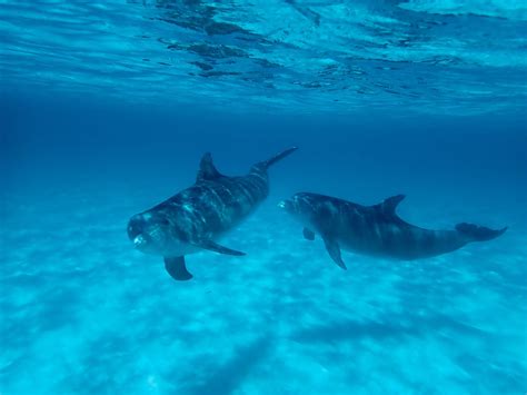 May 23, 2019 West End of New Providence Island, Bahamas - Clouds to Coral