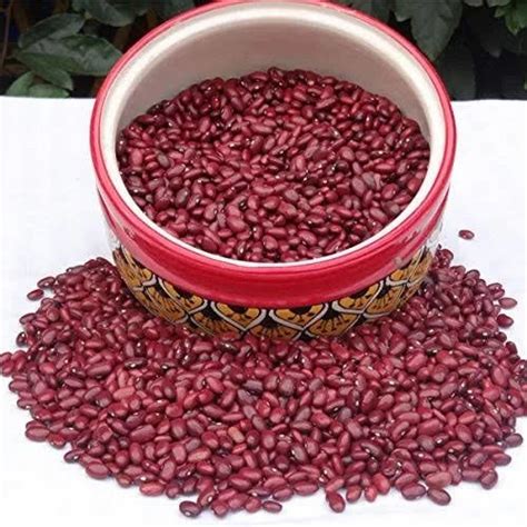 Red Chitkabri Pahadi Rajma High In Protein Packaging Size Bags At Rs