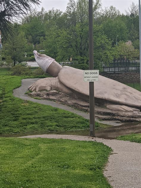 Turtles at Turtle Park setting a good example by wearing masks : r/StLouis