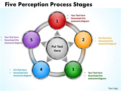 Five Perception flow Process Stages 12 | PowerPoint Slides Diagrams ...