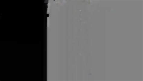 Amateur Bitch Sucking Cock