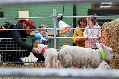 Easter At Newham Grange Farm Events In Tees Valley