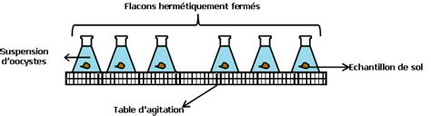 Montage expérimental des essais en colonne Download Scientific Diagram