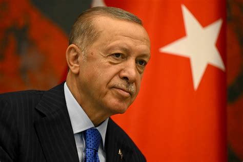 erdogan backs irans   defend  israels madness