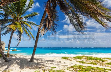 bottom bay beach  barbados stock image colourbox