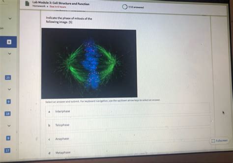 Lab Module 2: Cell Structure and Function Homework . | Chegg.com