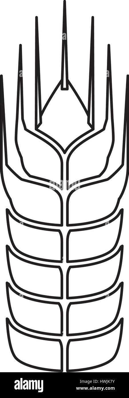Beer And Brewery Stock Vector Image And Art Alamy
