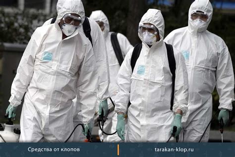 ХОЛОДНЫЙ туман от клопов – отзывы потребителей