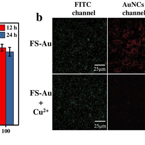 A Cell Viability Of Hela Cells Incubated With Various Concentrations Download Scientific