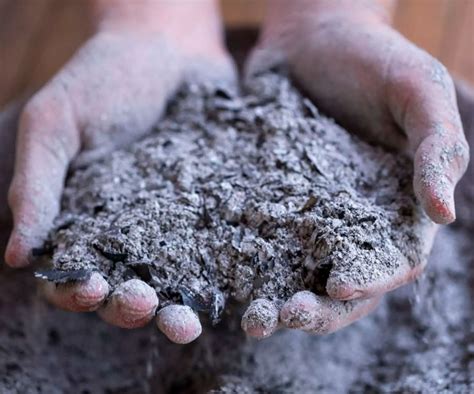 Древесная зола как удобрение