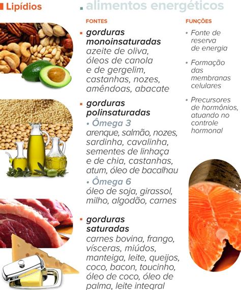 Ex De Lipidios - Exemplos De Lipidios Em Alimentos ÁCIDOS GRAXOS (LIPÍDIOS) | Resumo