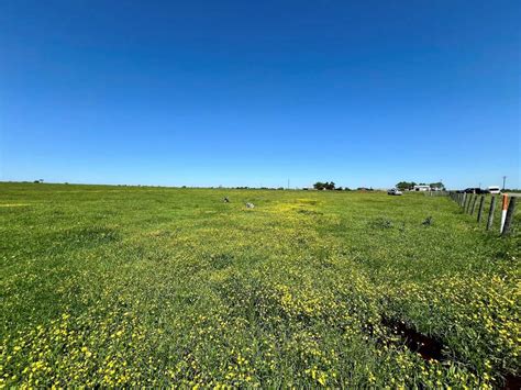 8394 S Us 77 La Grange Tx 78945 Mls 2361111 Properties Lonestar