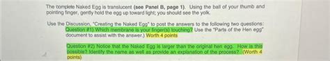 Solved The Complete Naked Egg Is Translucent See Panel B Chegg