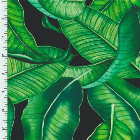 Laguna Bikini Paradise Palm Etsy