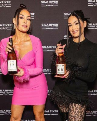 The Bella Twins Nude Porn Pictures XXX Photos Sex Images 4078433 PICTOA