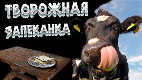 Творожная запеканка. Сочная и мягкая творожная запеканка! - YouTube